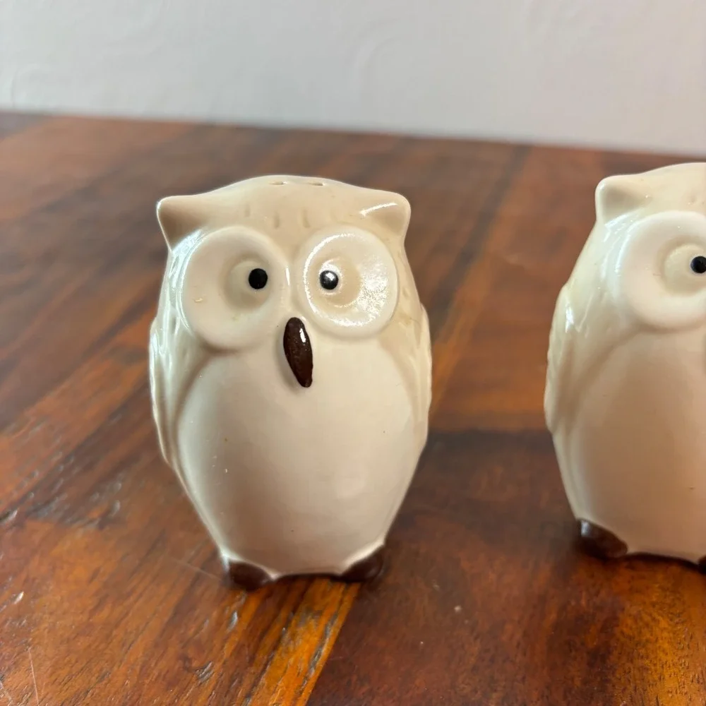 Pier One Imports Ceramic Owl Salt and Pepper Shakers Cream Brown Set of 2